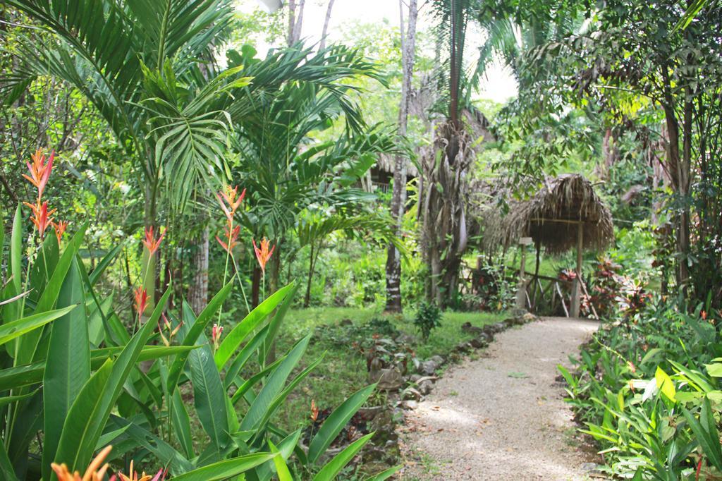 Sun Creek Lodge Punta Gorda Exterior foto