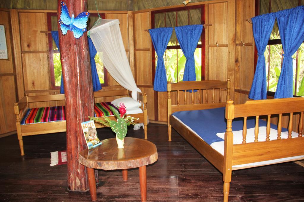 Sun Creek Lodge Punta Gorda Zimmer foto