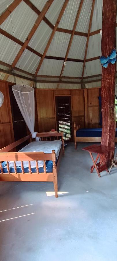 Sun Creek Lodge Punta Gorda Exterior foto