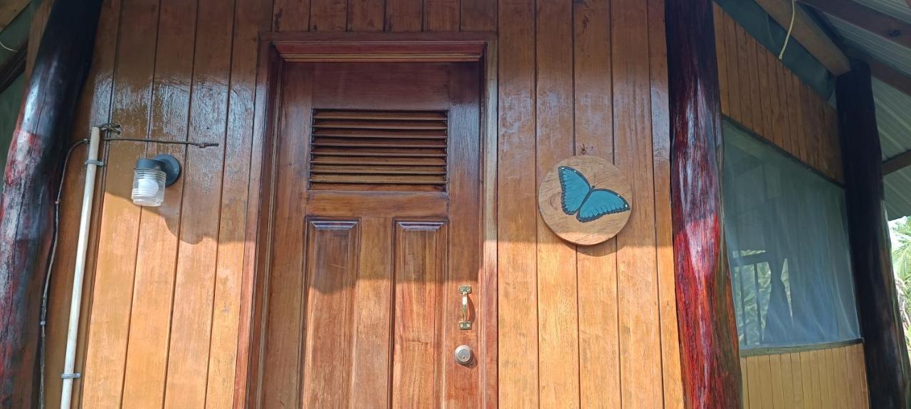 Sun Creek Lodge Punta Gorda Exterior foto
