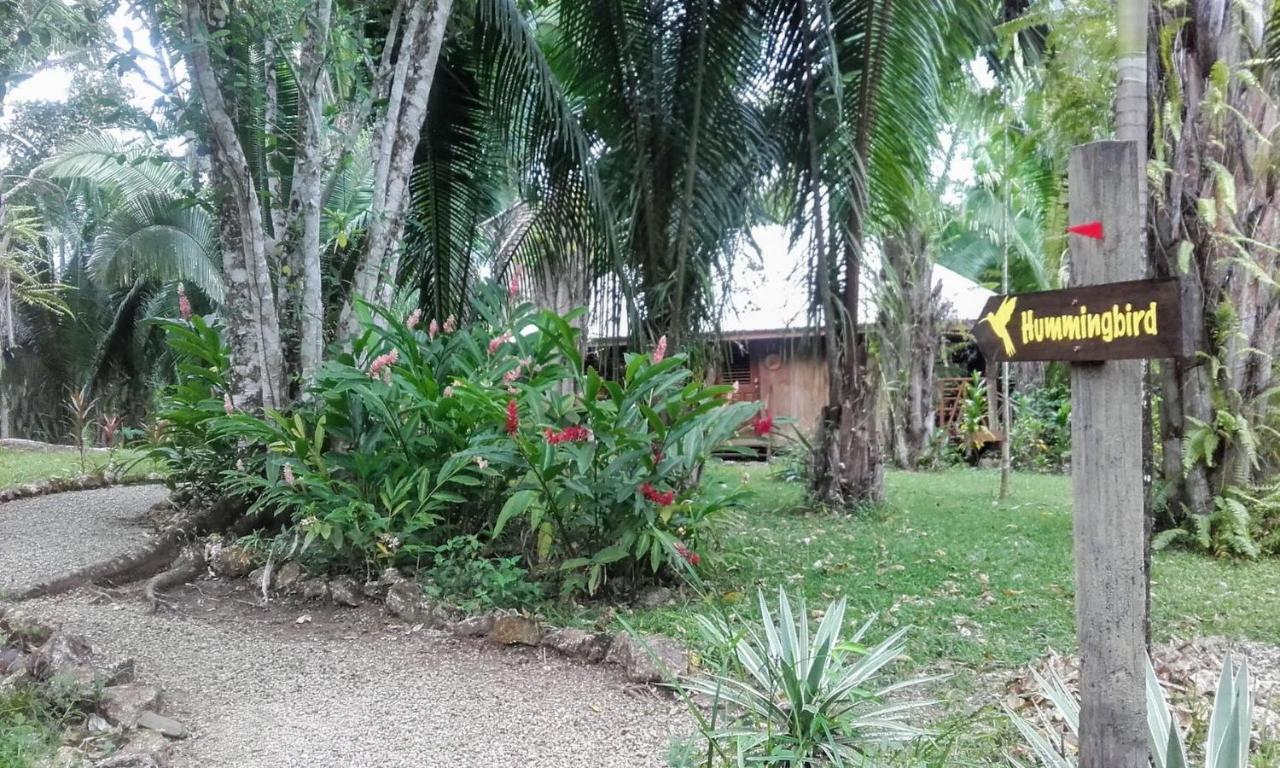 Sun Creek Lodge Punta Gorda Exterior foto