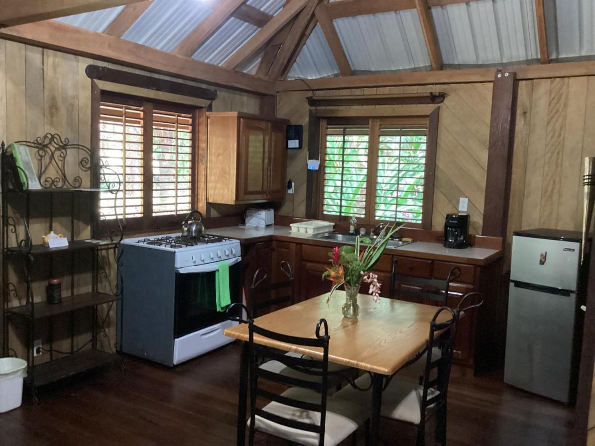 Sun Creek Lodge Punta Gorda Exterior foto