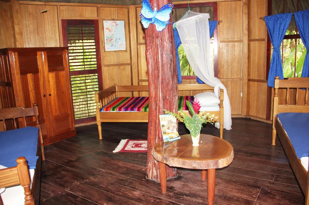 Sun Creek Lodge Punta Gorda Zimmer foto