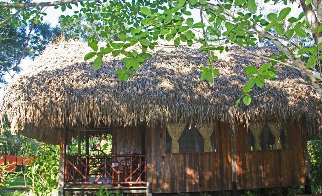Sun Creek Lodge Punta Gorda Zimmer foto