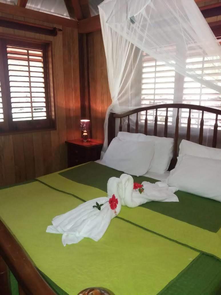 Sun Creek Lodge Punta Gorda Exterior foto